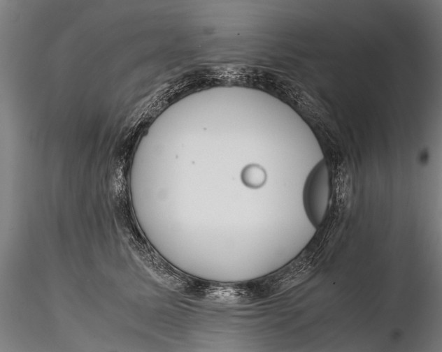 X0000115660611200912031334