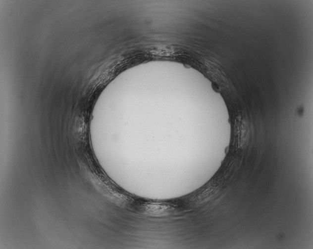 X0000115660614200912031334