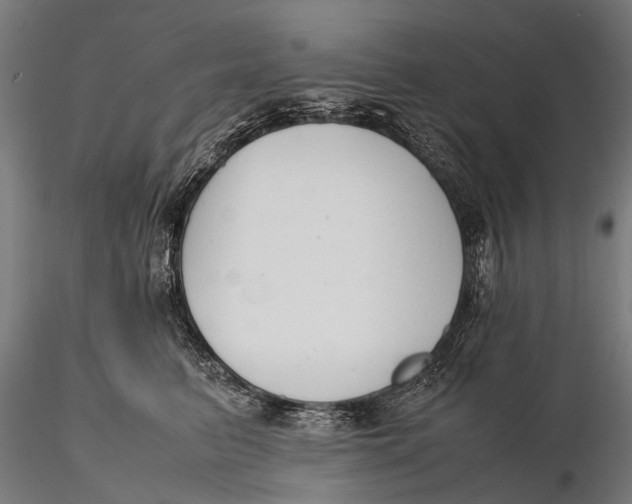 X0000115660615200912031334