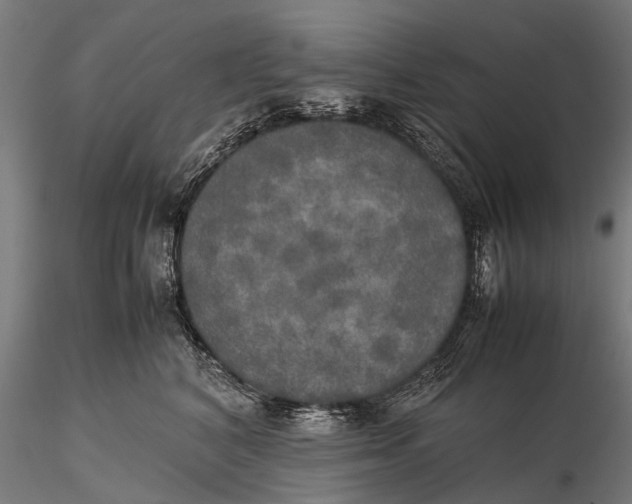 X0000115660616200912031334