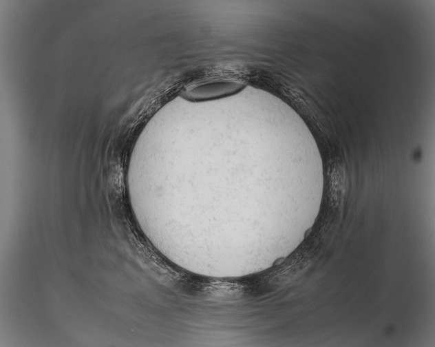 X0000115660617200912031334