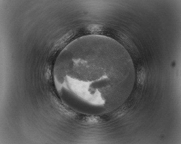 X0000115660618200912031334