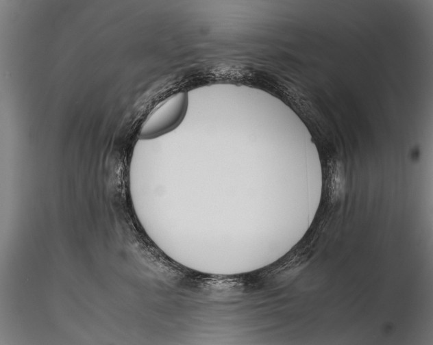 X0000115660619200912031334