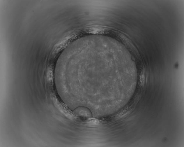 X0000115660620200912031334