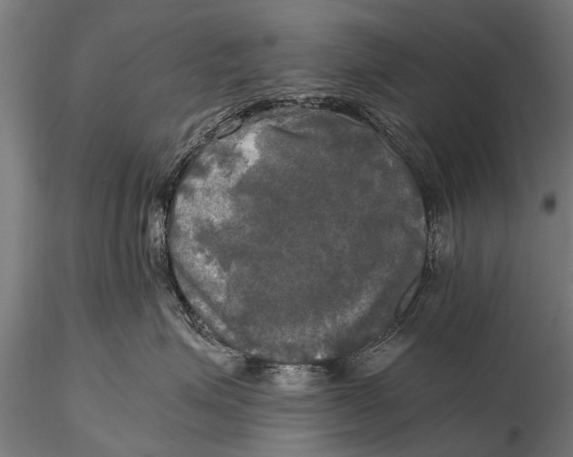 X0000115660623200912031334