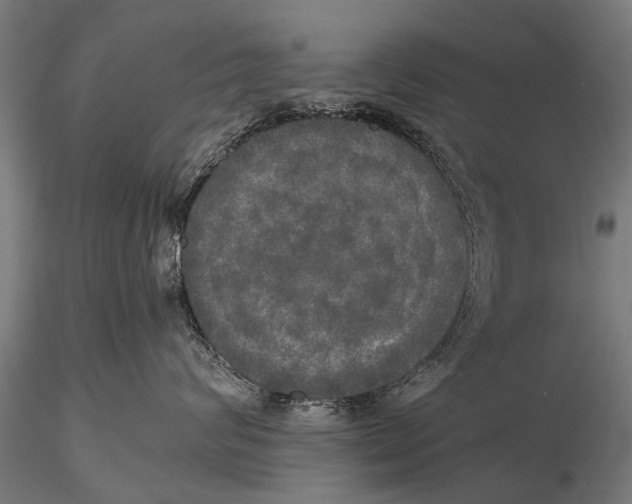 X0000115660624200912031334