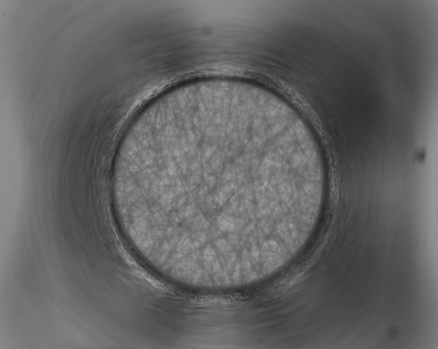 X0000115660625200912031333