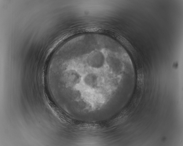 X0000115660626200912031333