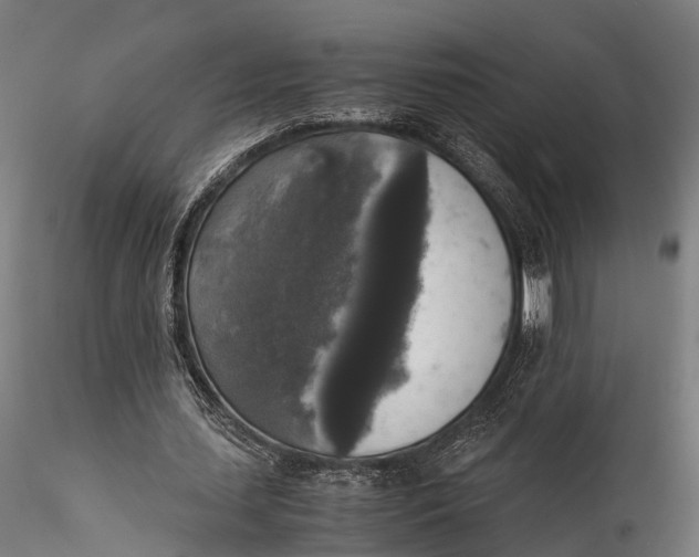 X0000115660627200912031333