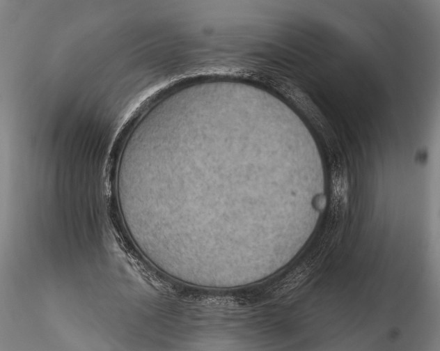 X0000115660628200912031333