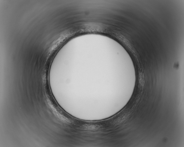 X0000115660629200912031333