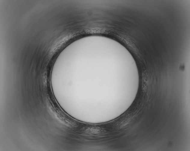 X0000115660631200912031333