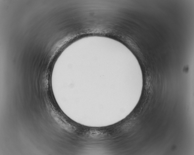 X0000115660632200912031333