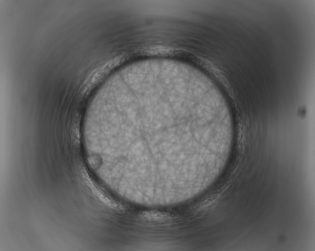 X0000115660633200912031333