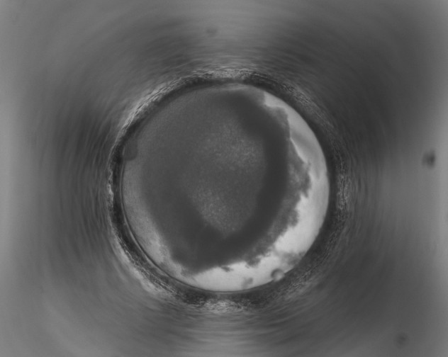 X0000115660634200912031333