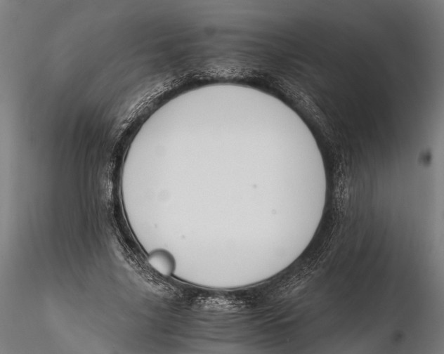 X0000115660635200912031333