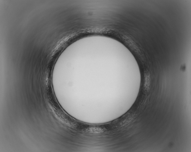 X0000115660636200912031333