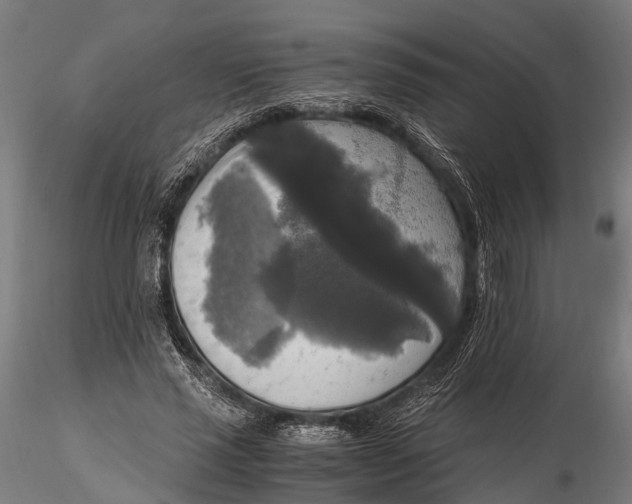 X0000115660637200912031333