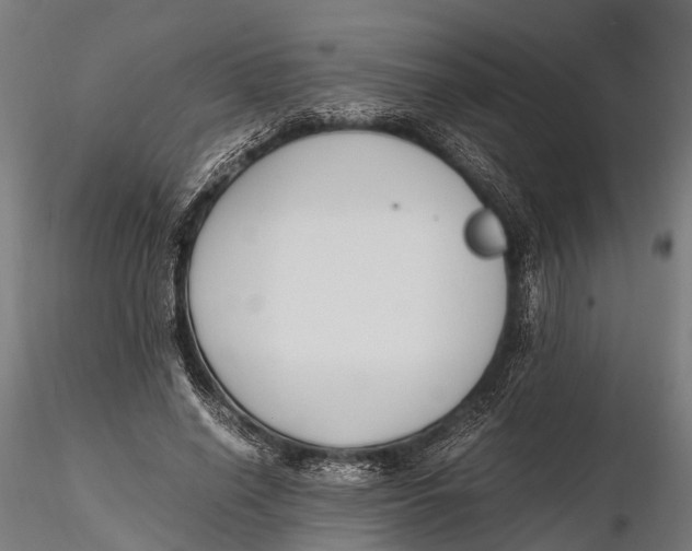 X0000115660638200912031333