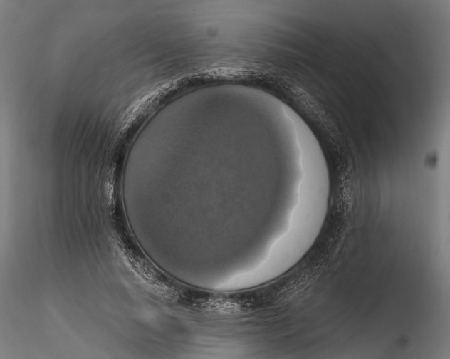 X0000115660640200912031333