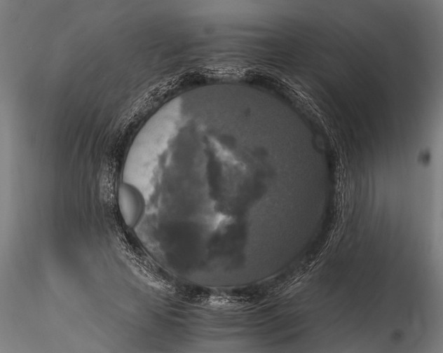 X0000115660641200912031333