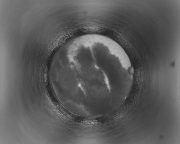 X0000115660642200912031333