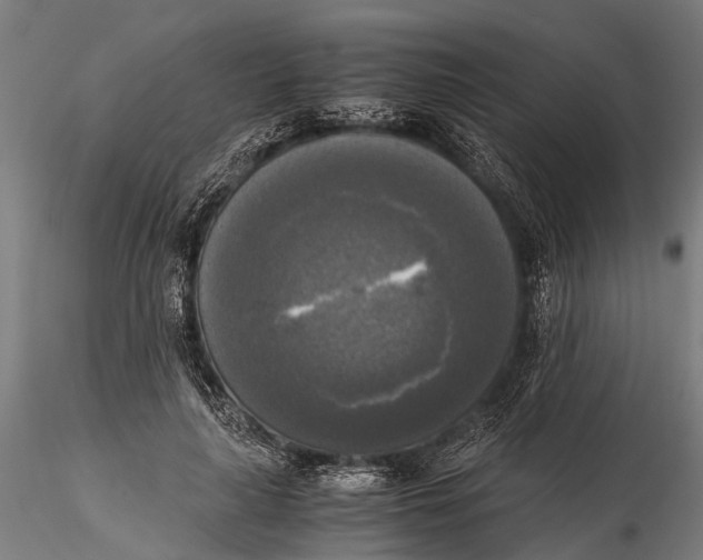 X0000115660643200912031333