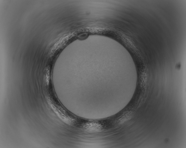 X0000115660644200912031333