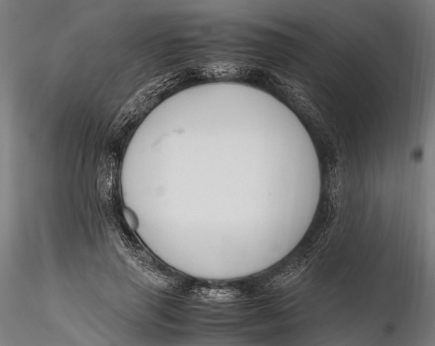 X0000115660645200912031333