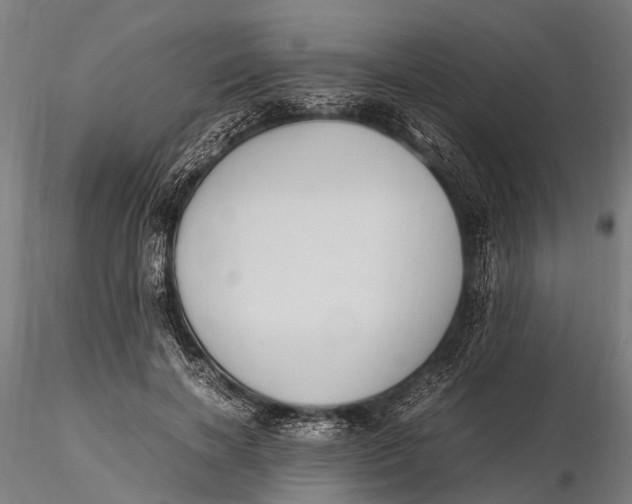 X0000115660646200912031333