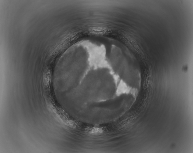 X0000115660647200912031333