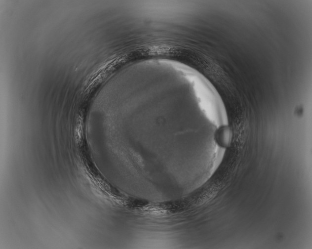 X0000115660648200912031333