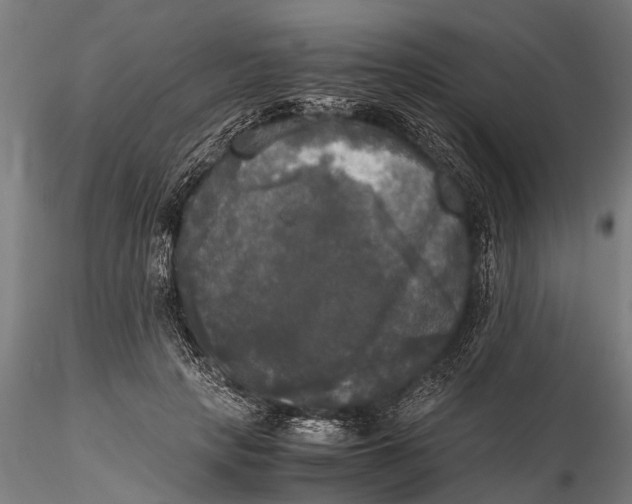 X0000115660649200912031333