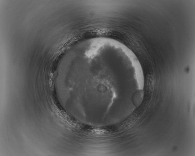 X0000115660650200912031333