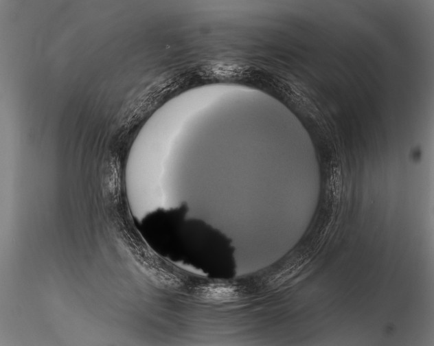 X0000115660651200912031333