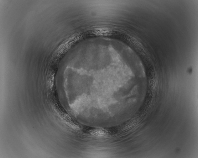 X0000115660652200912031333