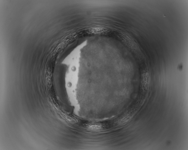 X0000115660653200912031333