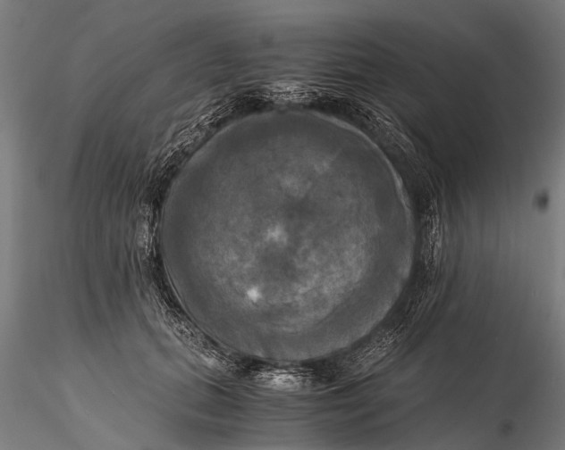 X0000115660655200912031333