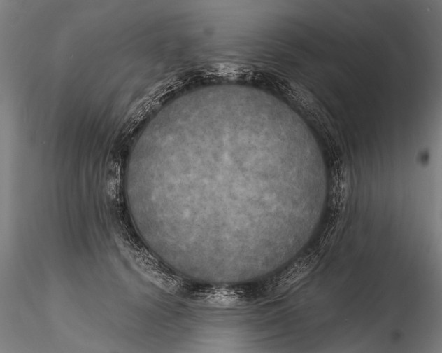 X0000115660656200912031333