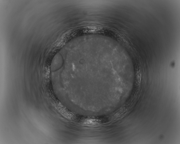 X0000115660657200912031333