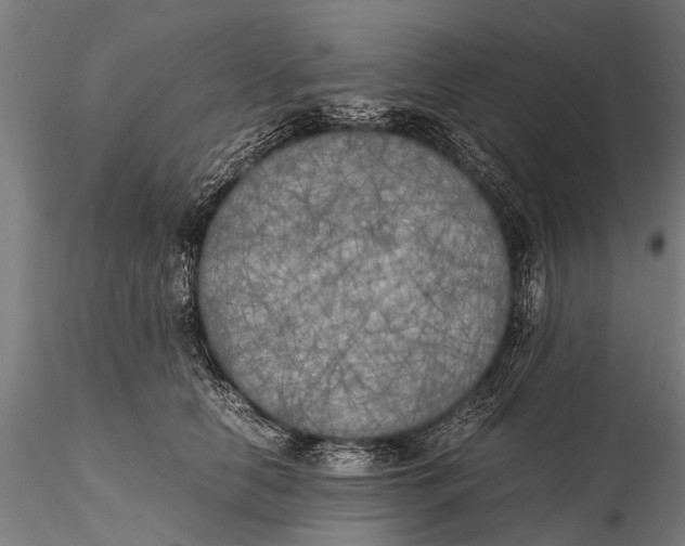 X0000115660658200912031333