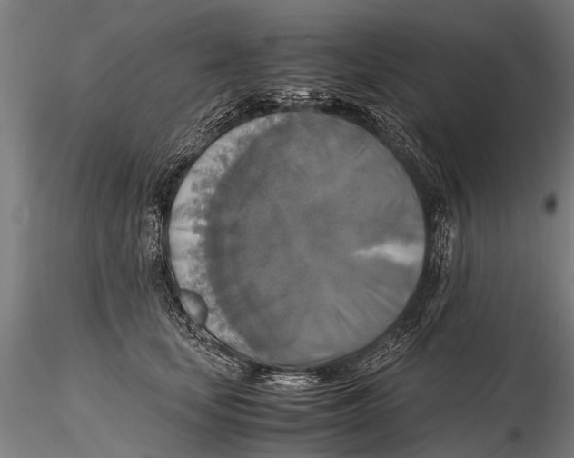 X0000115660659200912031334