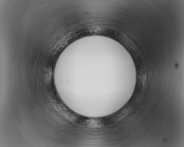 X0000115660660200912031334