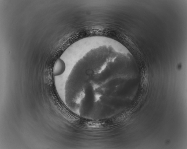 X0000115660661200912031334