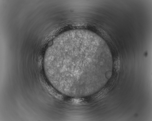 X0000115660662200912031334