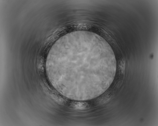 X0000115660663200912031334