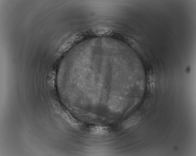 X0000115660664200912031334