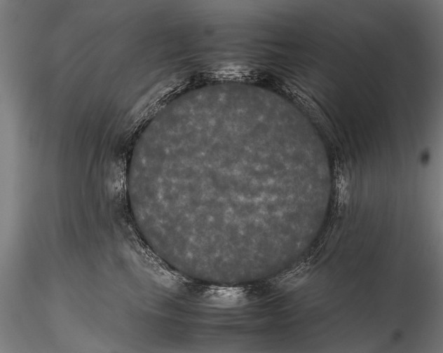 X0000115660665200912031334