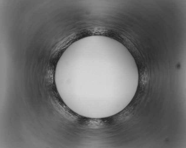 X0000115660666200912031334