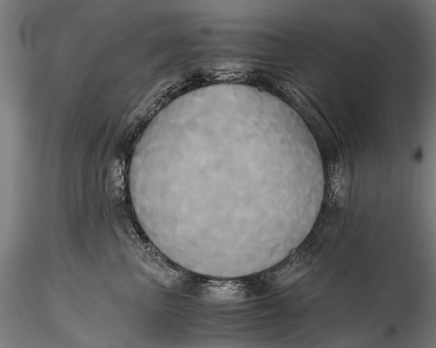 X0000115660667200912031334